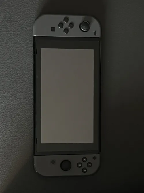 Nintendo switch flasher