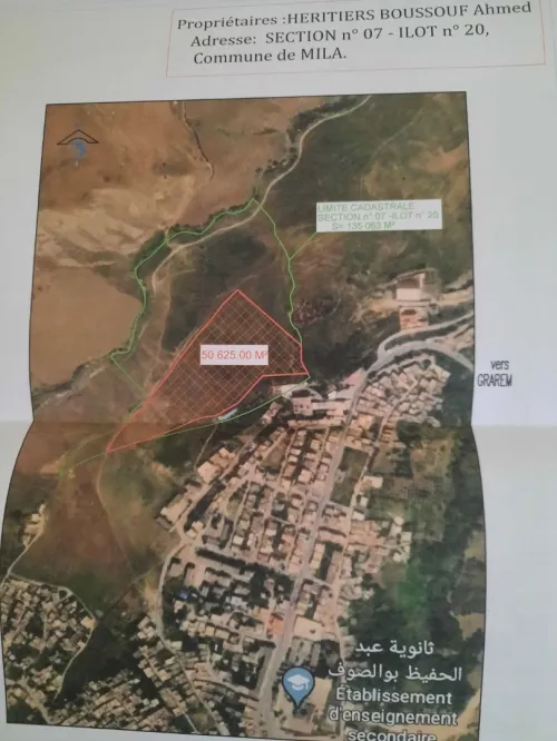 Vente Terrain Mila Mila
