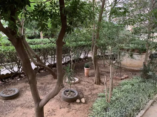 Location Appartement F6 Alger Cheraga