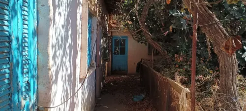 Vente Appartement Sidi Bel Abbès Ain el berd