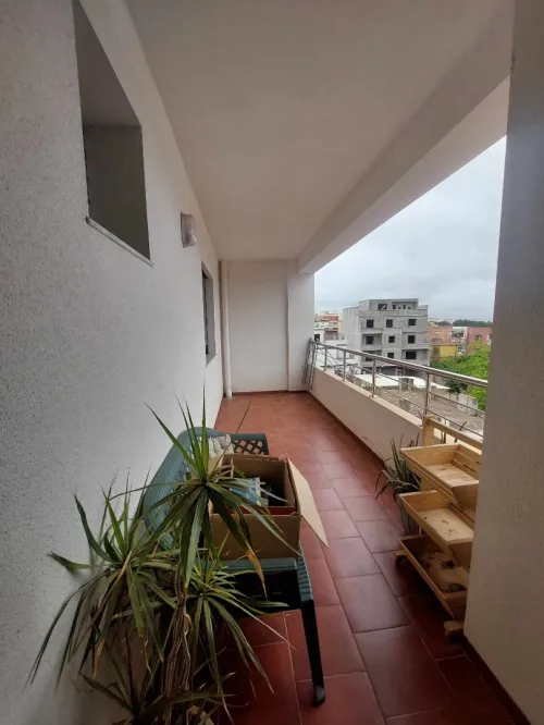Location Appartement F3 Alger Cheraga