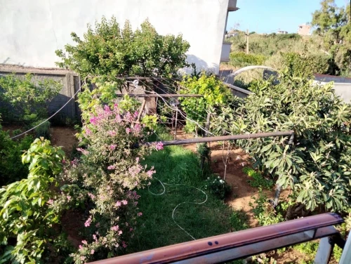 Location vacances Villa Boumerdès Djinet