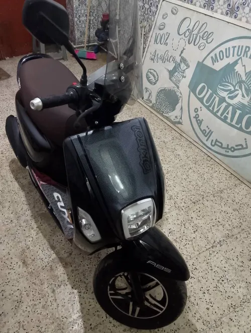 Cuxi okinio Cuxi 2025