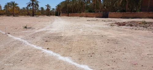 Vente Terrain Biskra Bordj ben azzouz