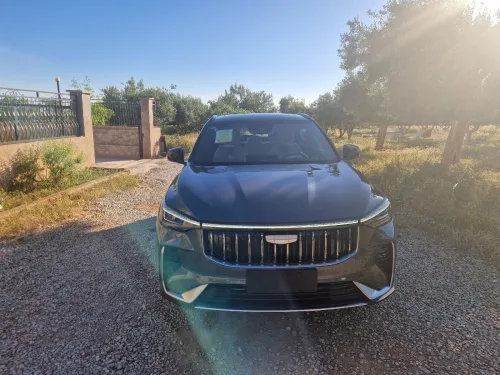 Geely Cityray  2026 Folle option