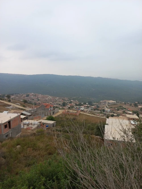 Vente Terrain Blida Djebara