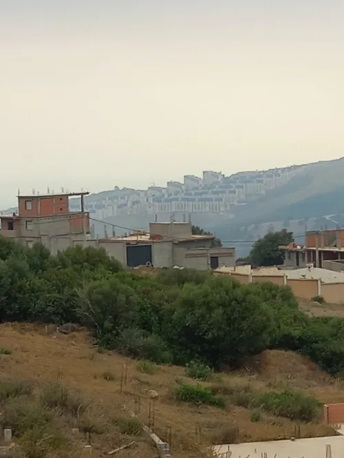 Vente Terrain Blida Djebara