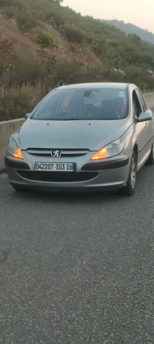 Peugeot 307 2003 307