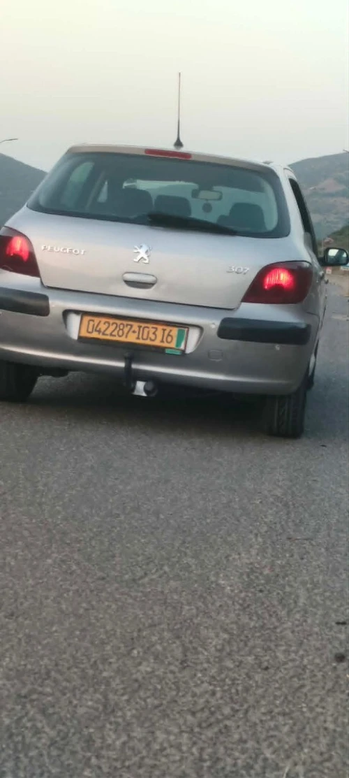 Peugeot 307 2003 307