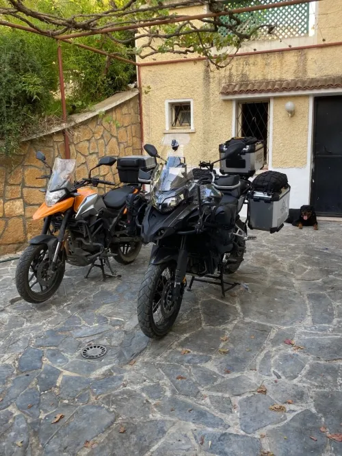Beneli Trk 2024