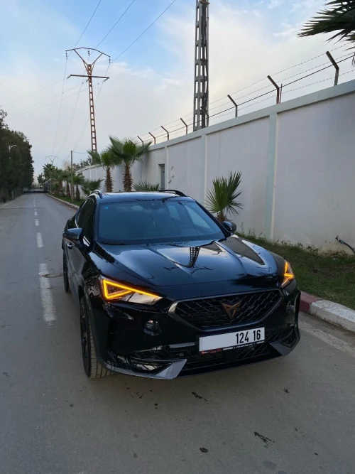 Seat Cupra formentor 2026 2.0 TDI 4x4