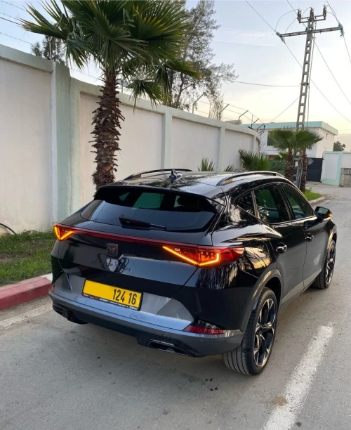 Seat Cupra formentor 2026 2.0 TDI 4x4