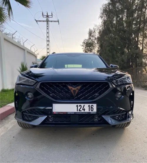 Seat Cupra formentor 2026 2.0 TDI 4x4