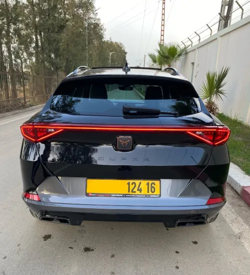 Cupra  Formentor 2024 4Drive 2.0 TDI