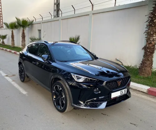 Cupra  Formentor 2024 4 motion TDI full full 🇩🇪