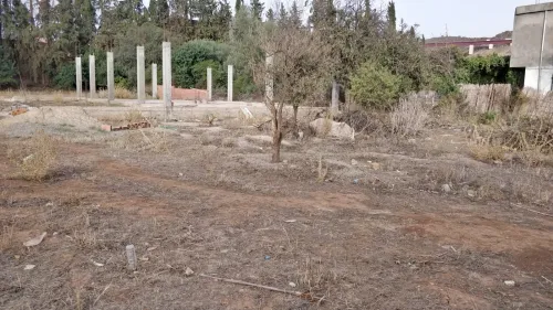 Vente Terrain Tlemcen Chetouane