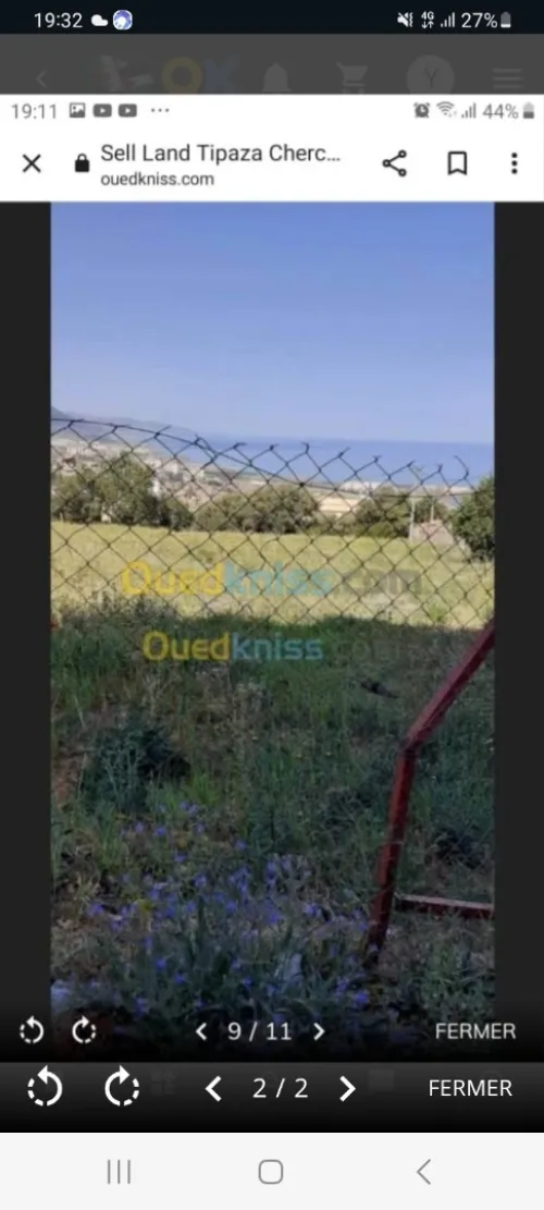 Vente Terrain Tipaza Cherchell
