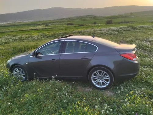Opel Insignia 2010 OPC