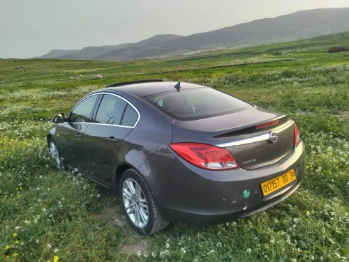 Opel Insignia 2010 OPC