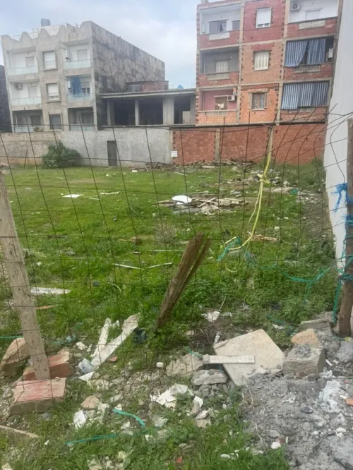 Vente Terrain Blida Chiffa