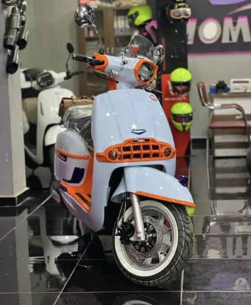 VMS VECTORIA 2025