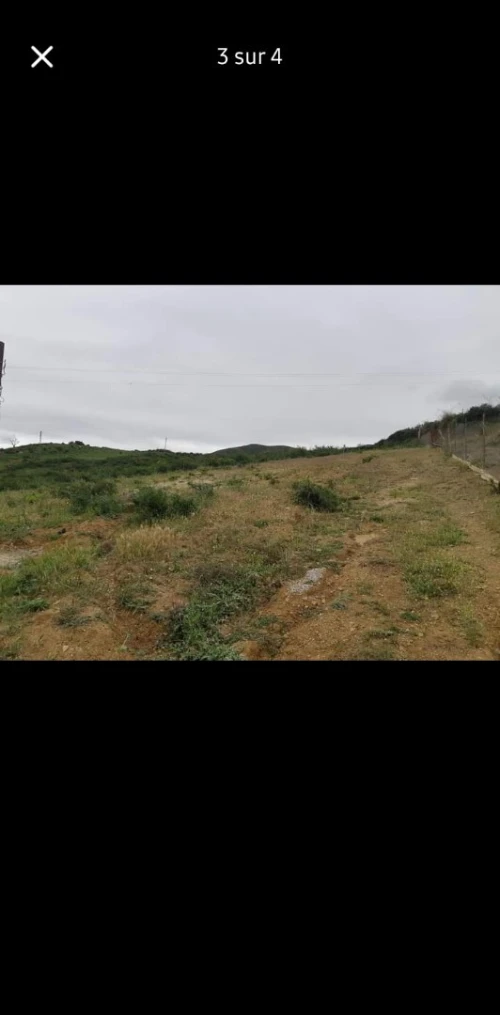Vente Terrain Blida Djebara