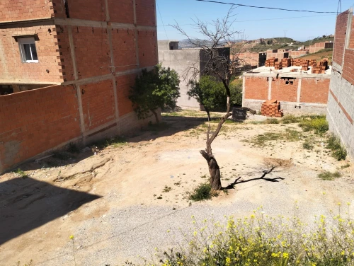 Vente Terrain Tlemcen Nedroma
