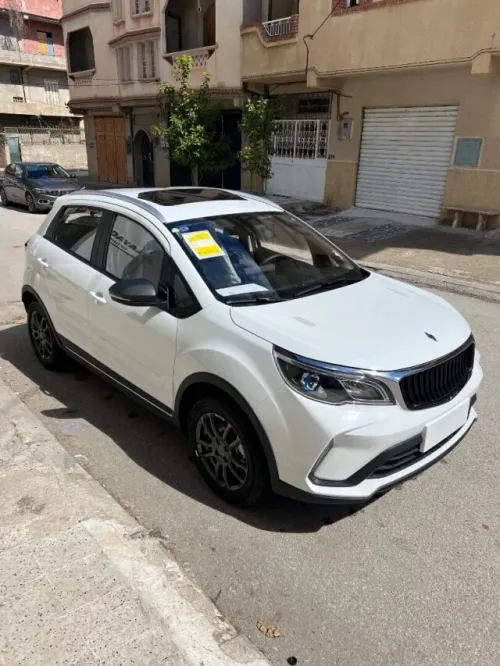 Livan X3 Pro  2026 X3 Pro automatique + Toit 