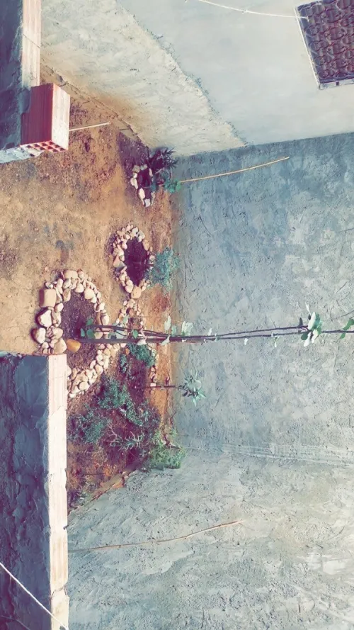 Vente Villa Saïda Ouled khaled