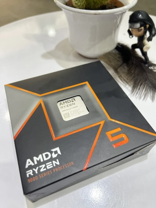 CPU AMD Ryzen 5 9600X