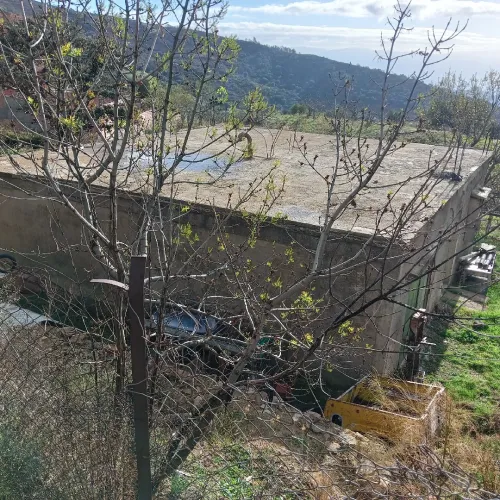 Vente Terrain Bouira Saharidj
