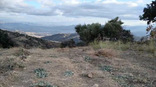 Vente Terrain Bouira Saharidj