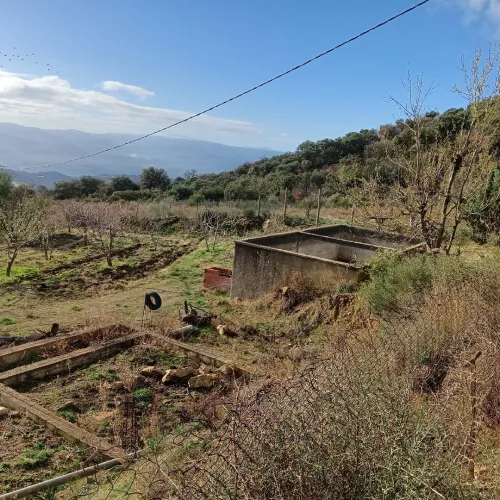 Vente Terrain Bouira Saharidj
