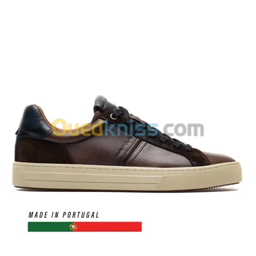 AMBITIOUS Anopolis Brown
