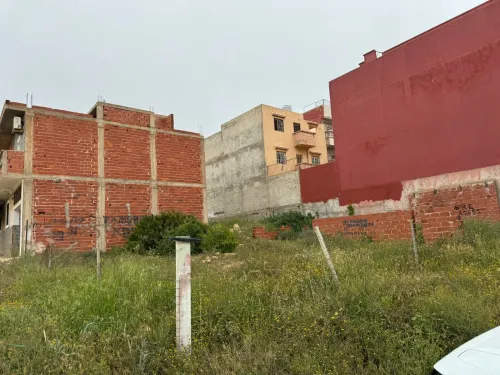 Vente Terrain Tlemcen Marsa ben mhidi