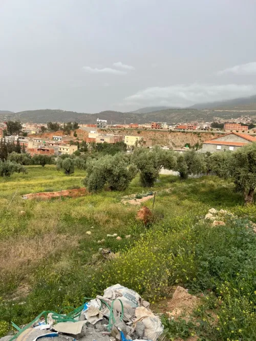 Vente Terrain Tlemcen Nedroma