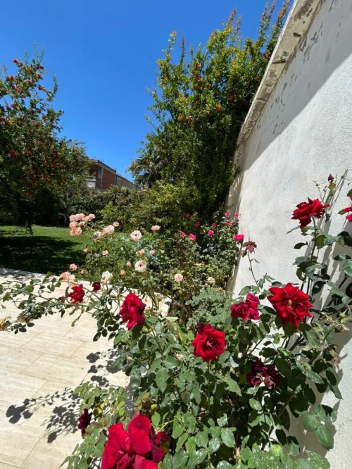 Vente Villa Alger Birkhadem