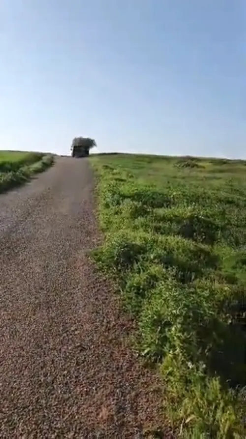 Vente Terrain Agricole Aïn Témouchent Sidi ben adda