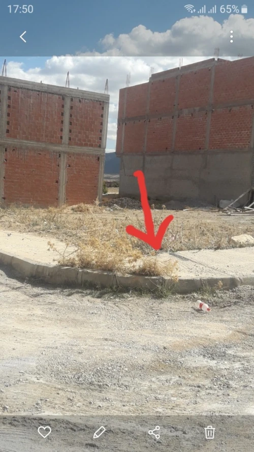 Vente Terrain Batna Seriana