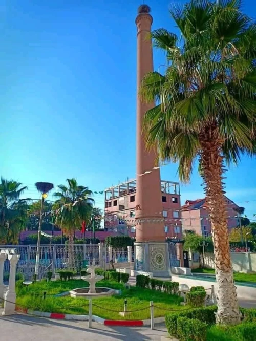 Vente Terrain Blida Bougara