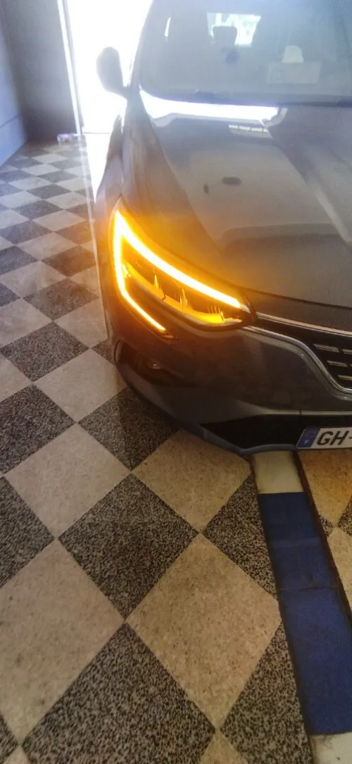 Renault Megane 3 RS 2022 Megane 3 RS