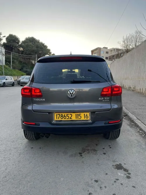 Volkswagen Tiguan 2015 Cup