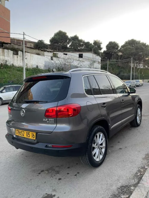 Volkswagen Tiguan 2015 Cup