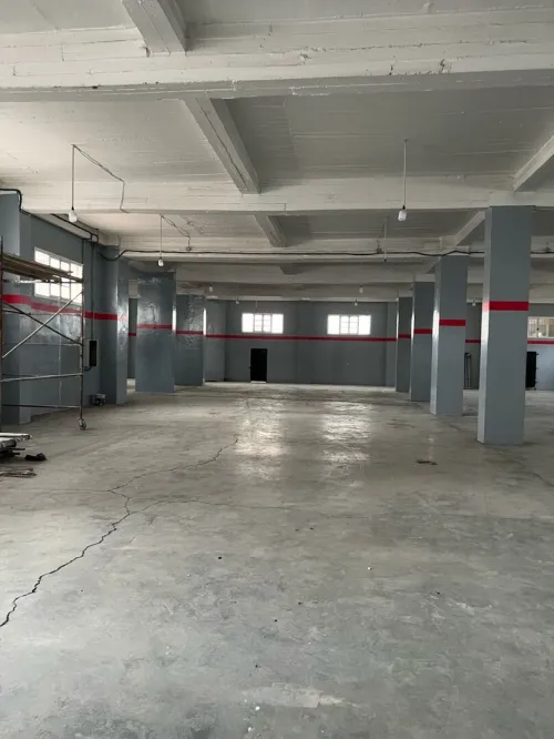 Vente Hangar - Usine Sétif Setif