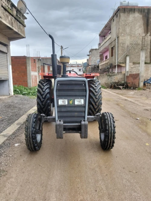 Tirsam Tafe 2019