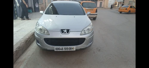 Peugeot 407 2009 Allure