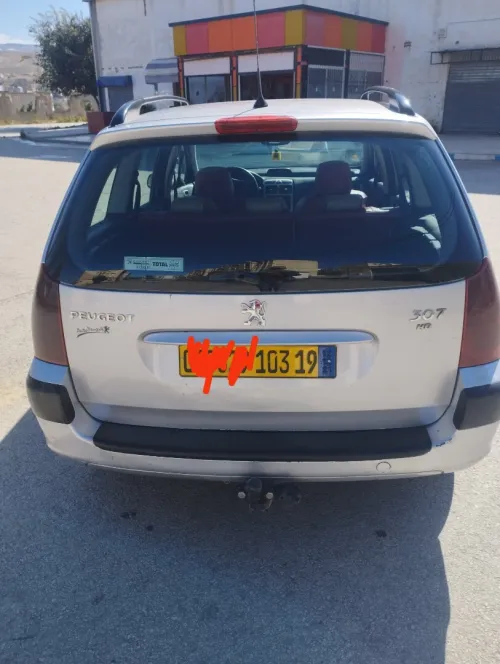 Peugeot 307 sw 2003 Brec