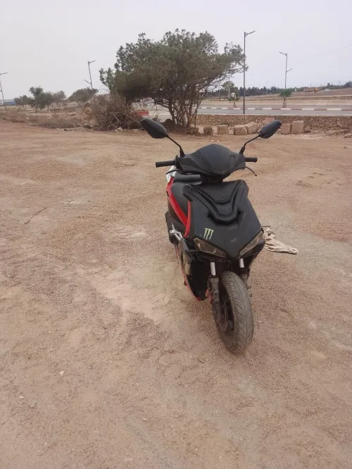 Gevatti Nouvel S A9 2019