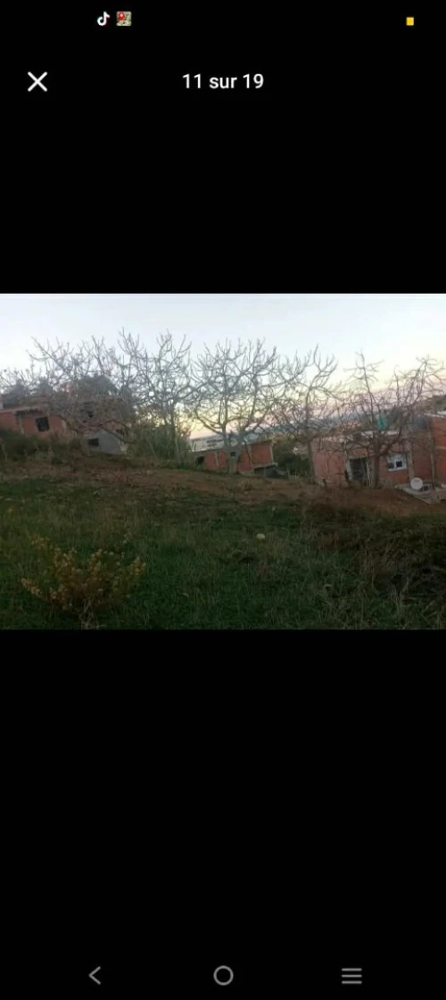 Vente Terrain Tipaza Cherchell