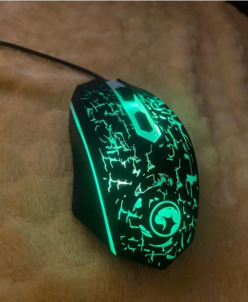 Souris 